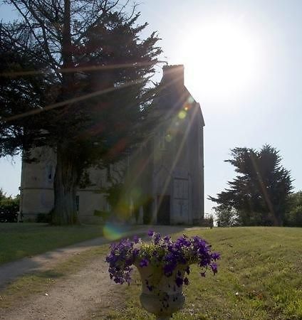 Chateau Fauchey Bed and Breakfast Cadillac Exteriör bild