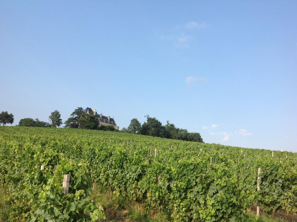 Chateau Fauchey Bed and Breakfast Cadillac Exteriör bild